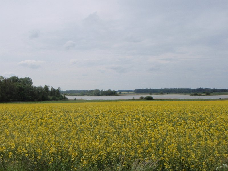 Bad Schwartau 216